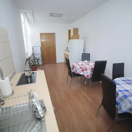 Pensiune Vila Plushotel *