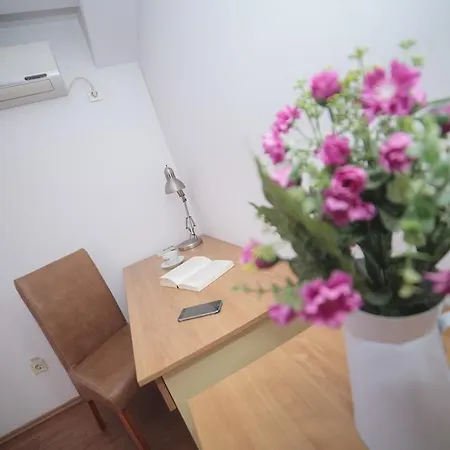 Pensiune Vila Plushotel Craiova
